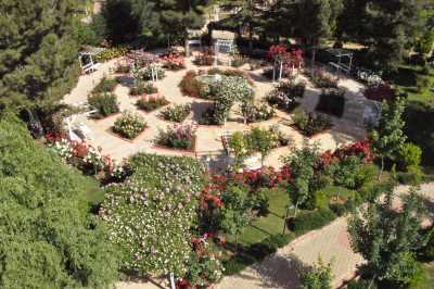 Botanik Bahçesi 